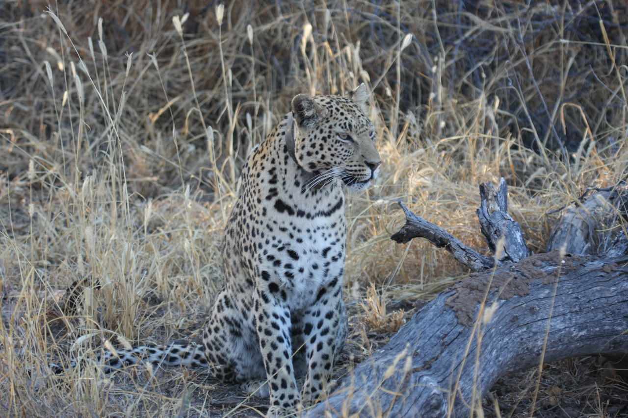 [3104] 2016_06_22_11_22_47_Africa_Canon_EOS_40D_IMG__00698.jpg