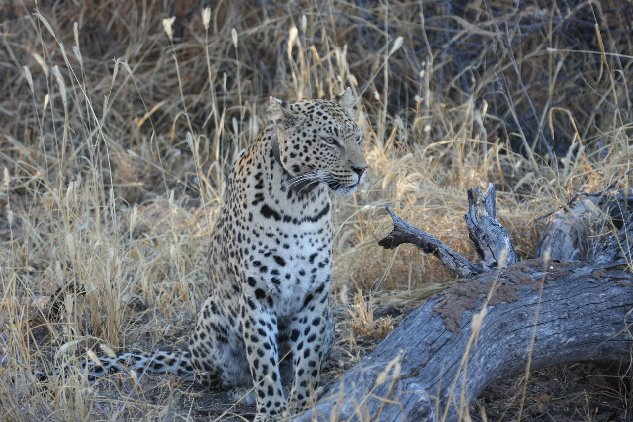 [3111] 2016_06_22_11_22_48_Africa_Canon_EOS_40D_IMG__00699.jpg