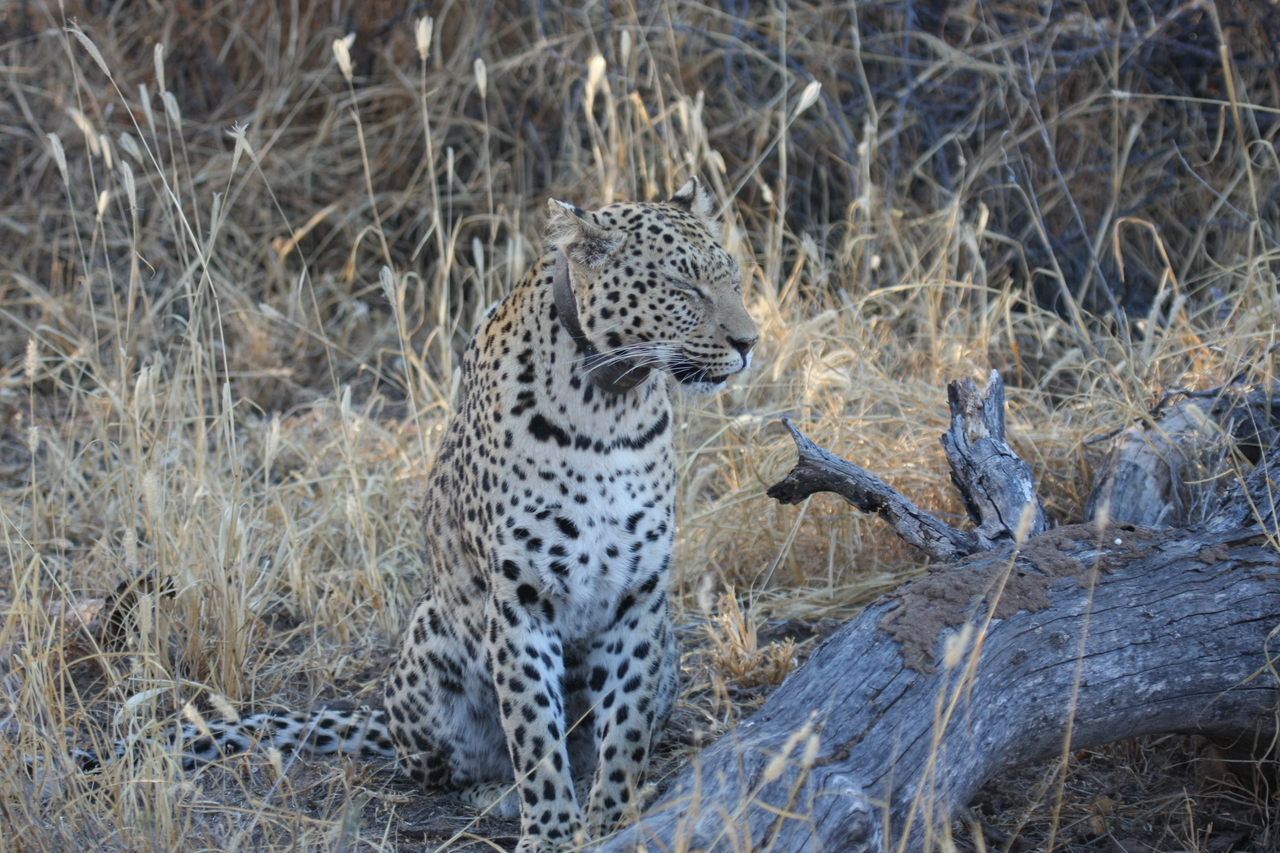 [3114] 2016_06_22_11_22_48_Africa_Canon_EOS_40D_IMG__00719.jpg