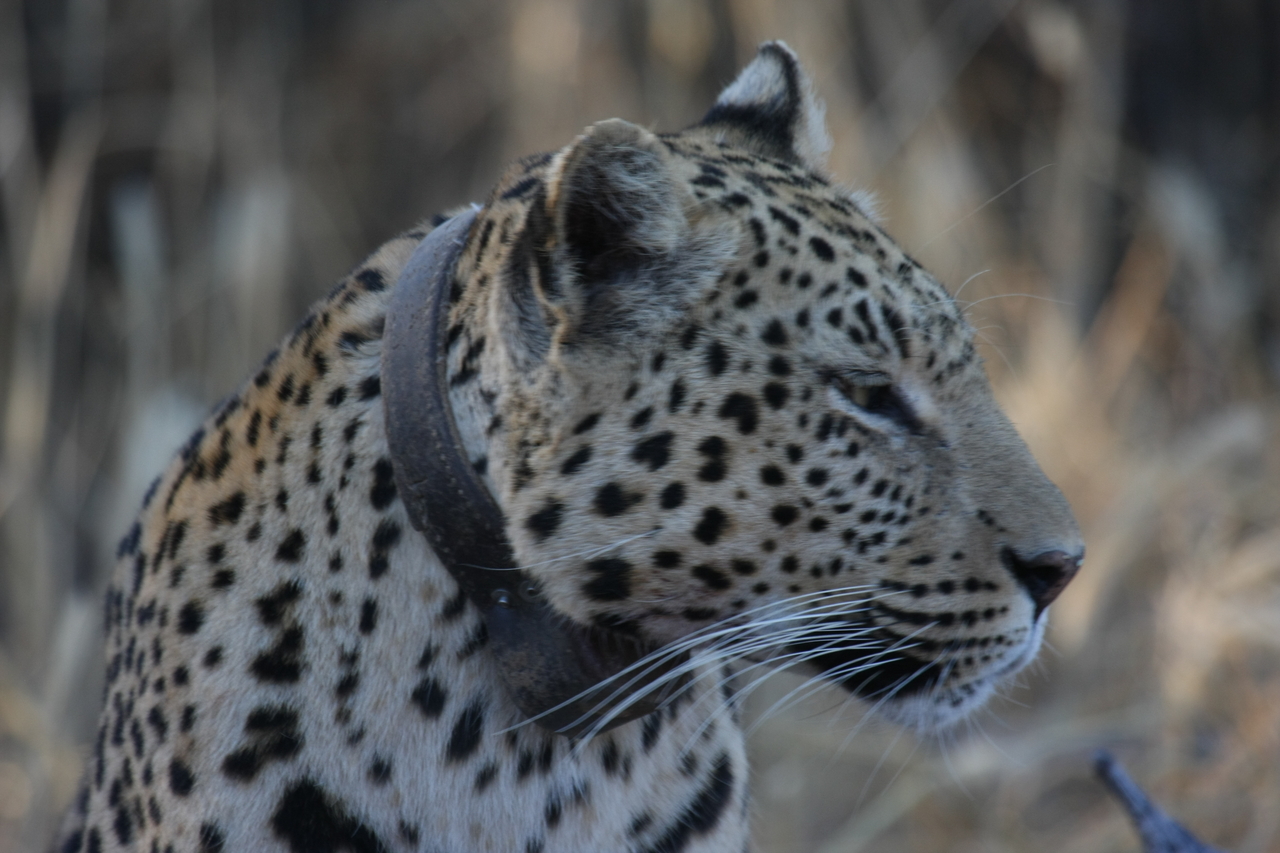 [3194] 2016_06_22_11_23_21_Africa_Canon_EOS_40D_IMG__00728.jpg