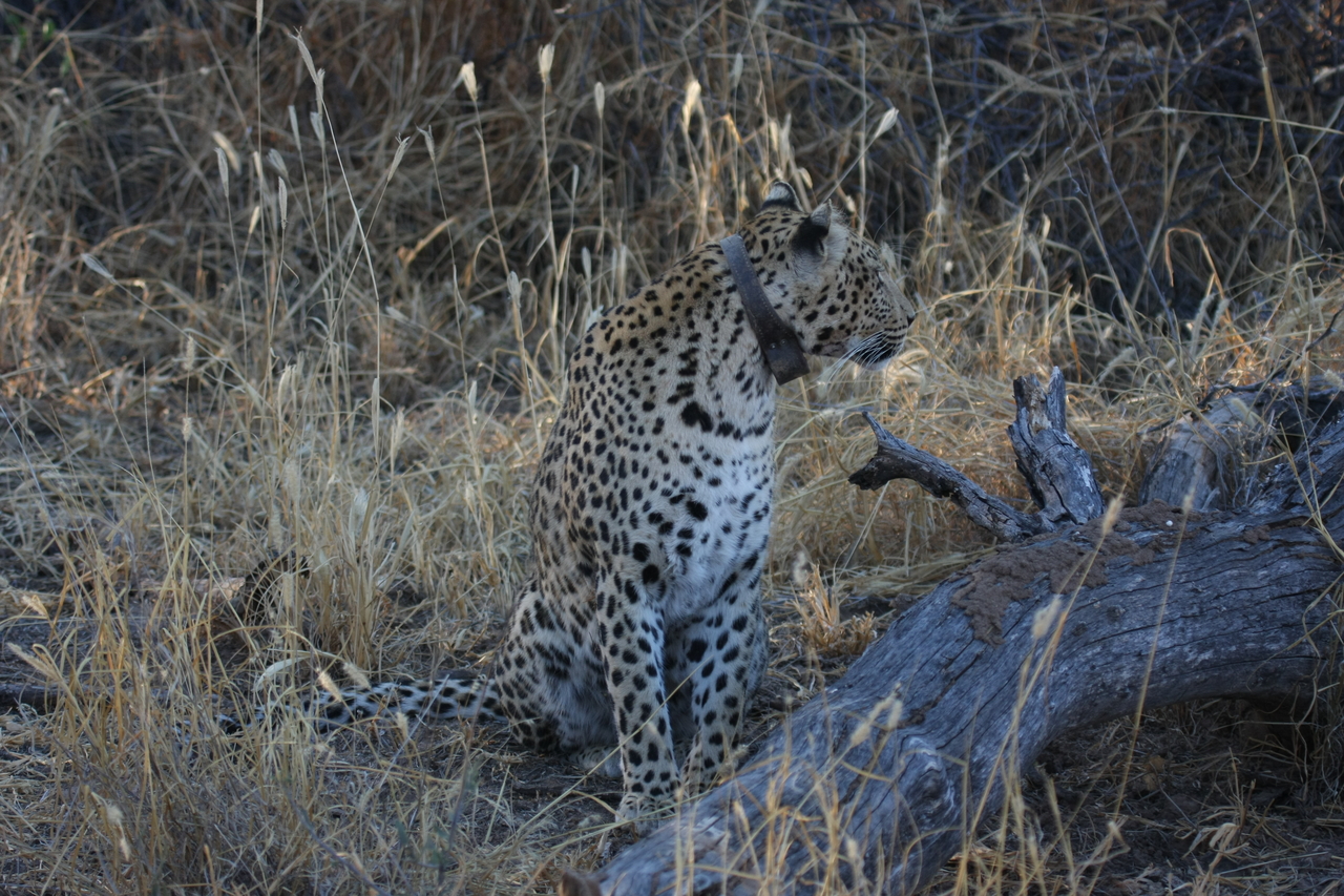 [3203] 2016_06_22_11_23_28_Africa_Canon_EOS_40D_IMG__08195.jpg