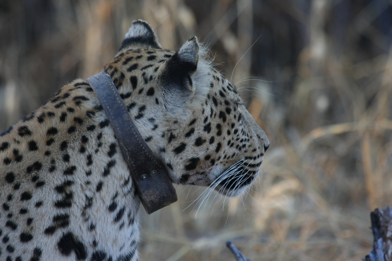 [3240] 2016_06_22_11_24_11_Africa_Canon_EOS_40D_IMG__00754.jpg