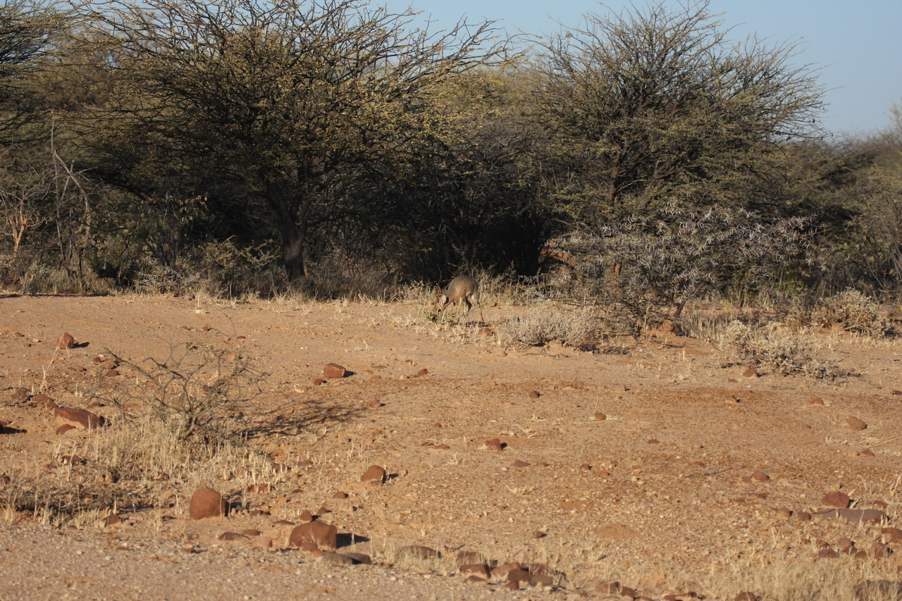 [3250] 2016_06_22_11_32_03_Africa_Canon_EOS_40D_IMG__00757.jpg