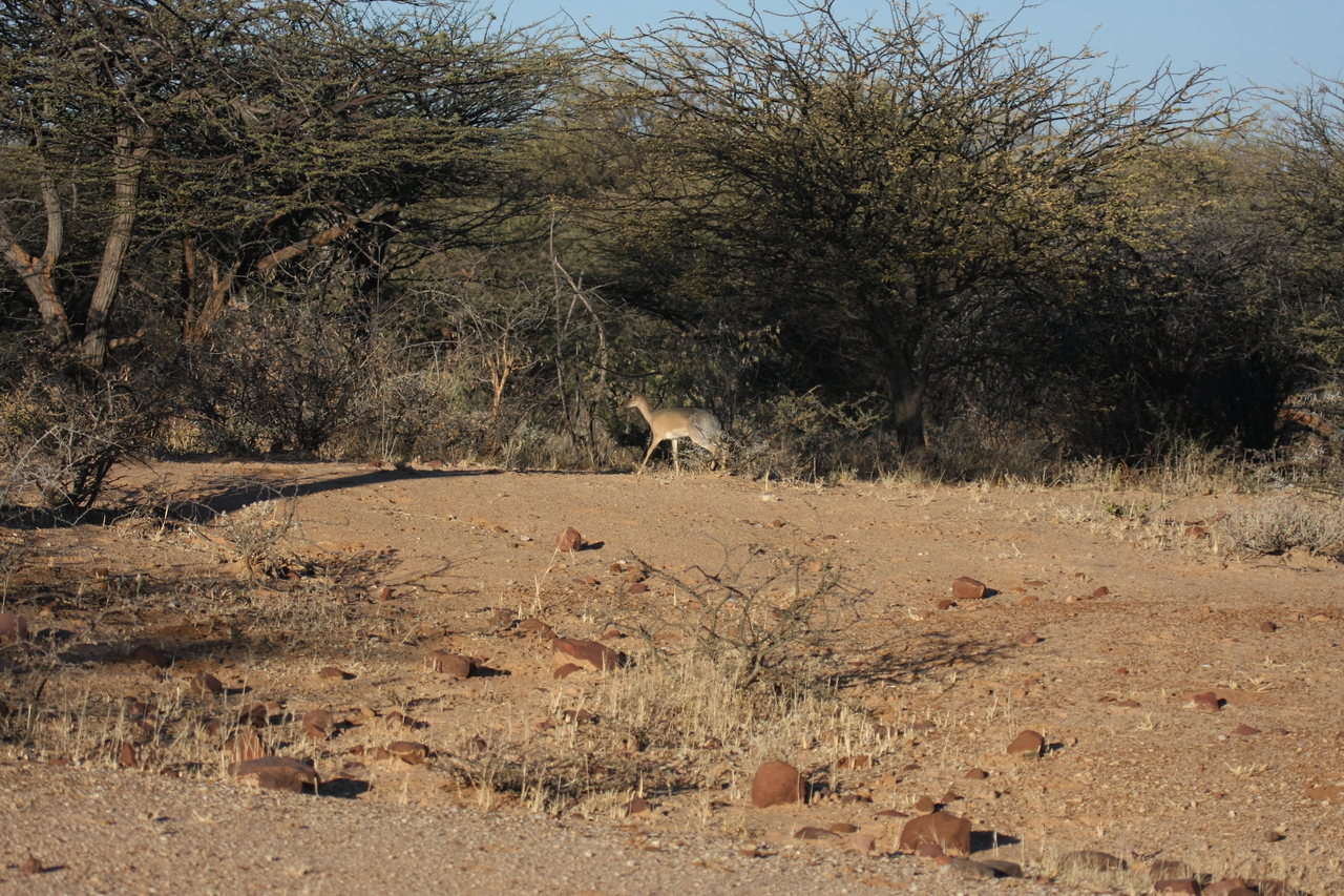 [3254] 2016_06_22_11_32_09_Africa_Canon_EOS_40D_IMG__00740.jpg