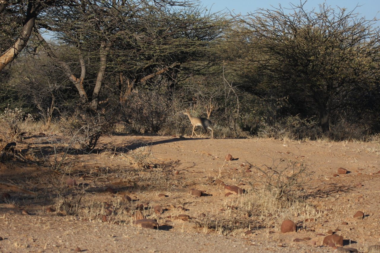 [3264] 2016_06_22_11_32_10_Africa_Canon_EOS_40D_IMG__00762.jpg