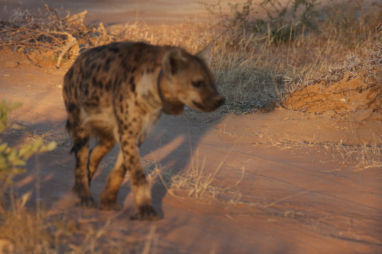 [3307] 2016_06_22_12_05_11_Africa_Canon_EOS_40D_IMG__08219.jpg