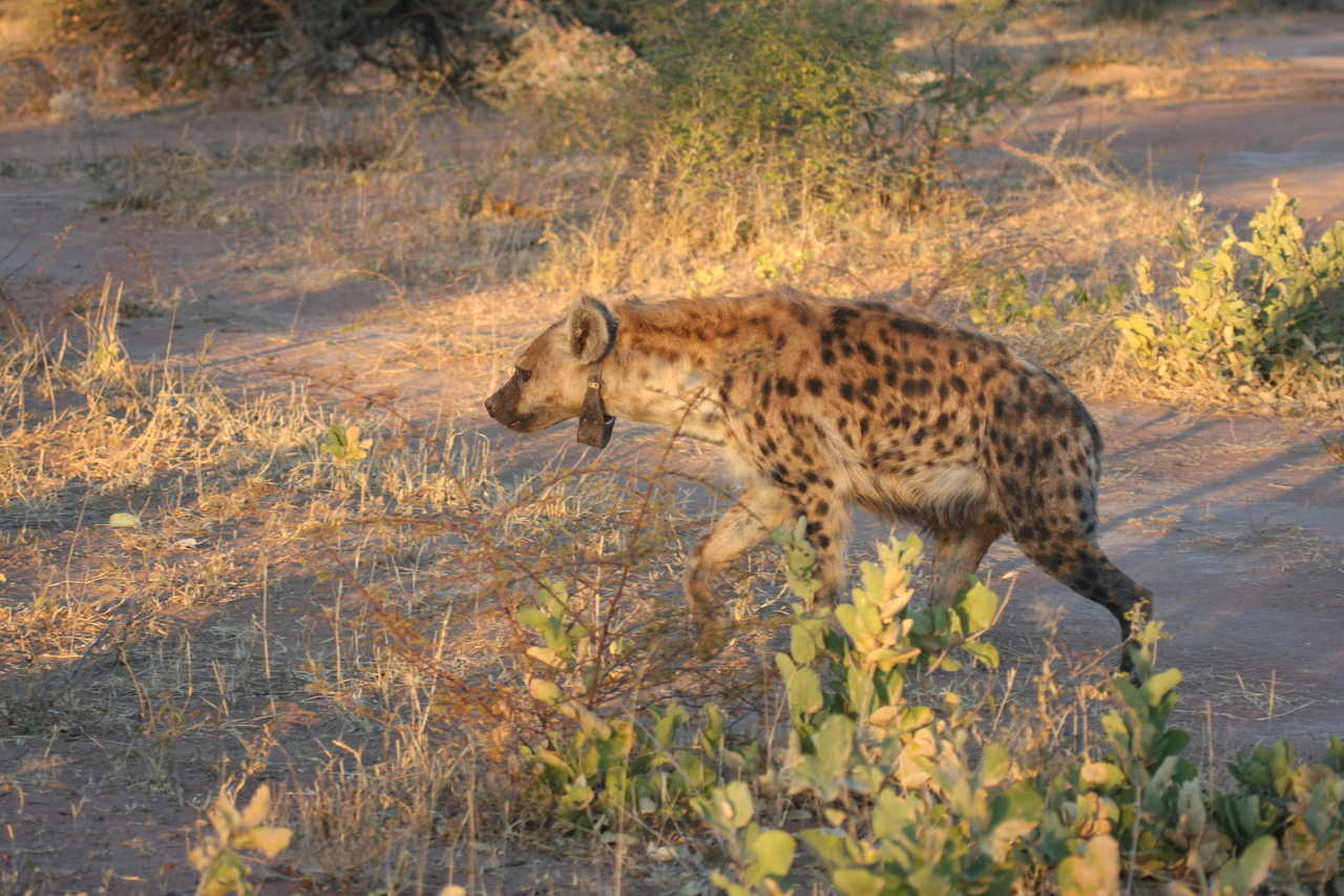 [3344] 2016_06_22_12_05_49_Africa_Canon_EOS_40D_IMG__00766.jpg