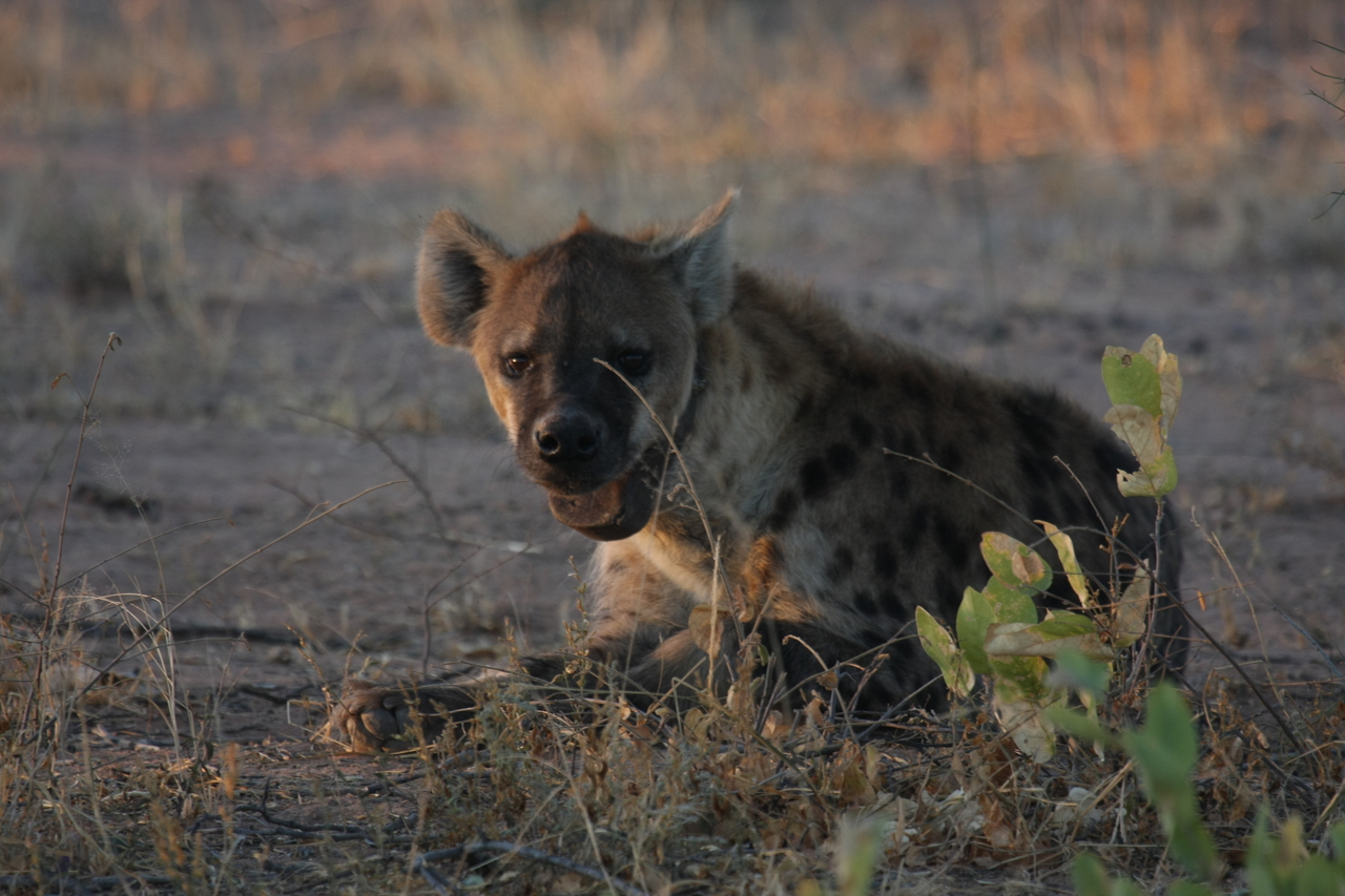 [3371] 2016_06_22_12_07_13_Africa_Canon_EOS_40D_IMG__00775.jpg