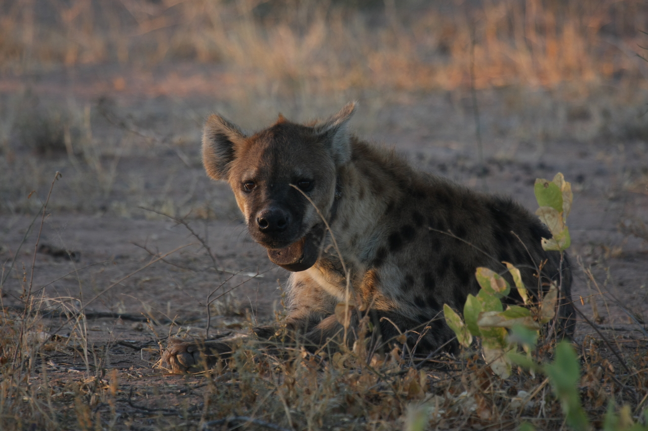 [3372] 2016_06_22_12_07_13_Africa_Canon_EOS_40D_IMG__00776.jpg