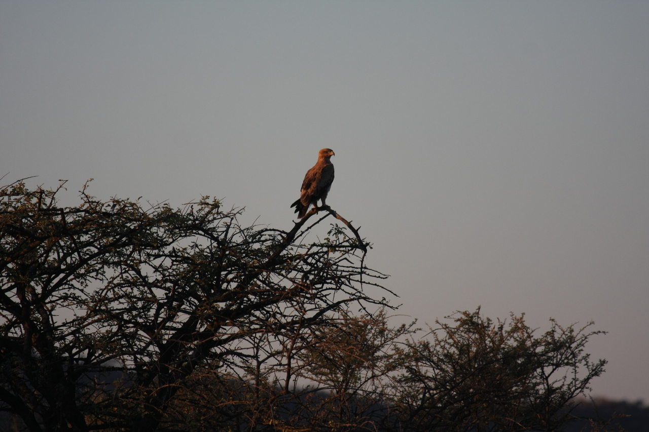 [3384] 2016_06_22_12_07_28_Africa_Canon_EOS_40D_IMG__08244.jpg
