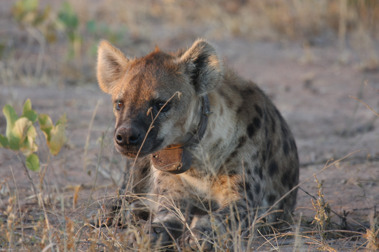 [3395] 2016_06_22_12_08_05_Africa_Canon_EOS_40D_IMG__00802.jpg