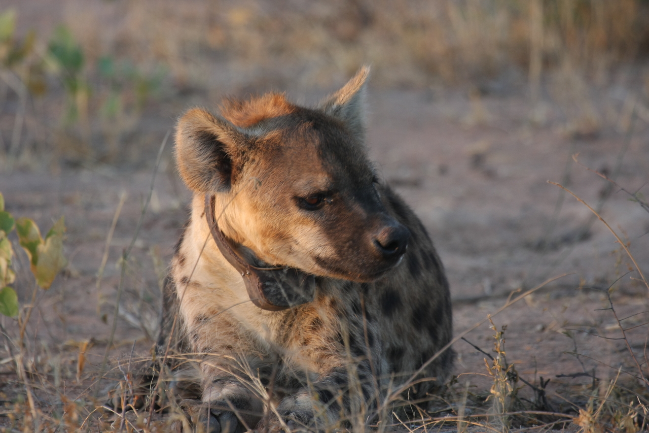 [3404] 2016_06_22_12_08_11_Africa_Canon_EOS_40D_IMG__08250.jpg