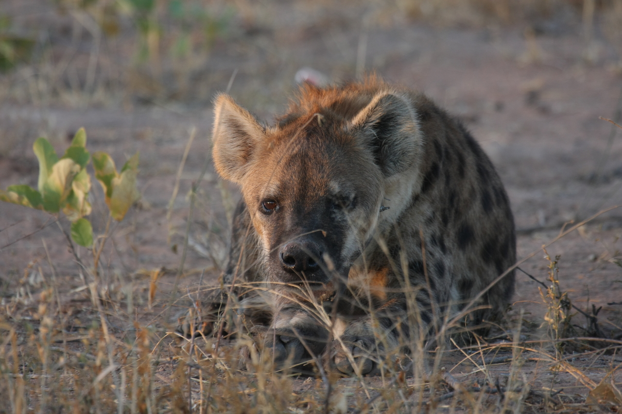 [3408] 2016_06_22_12_08_12_Africa_Canon_EOS_40D_IMG__00806.jpg