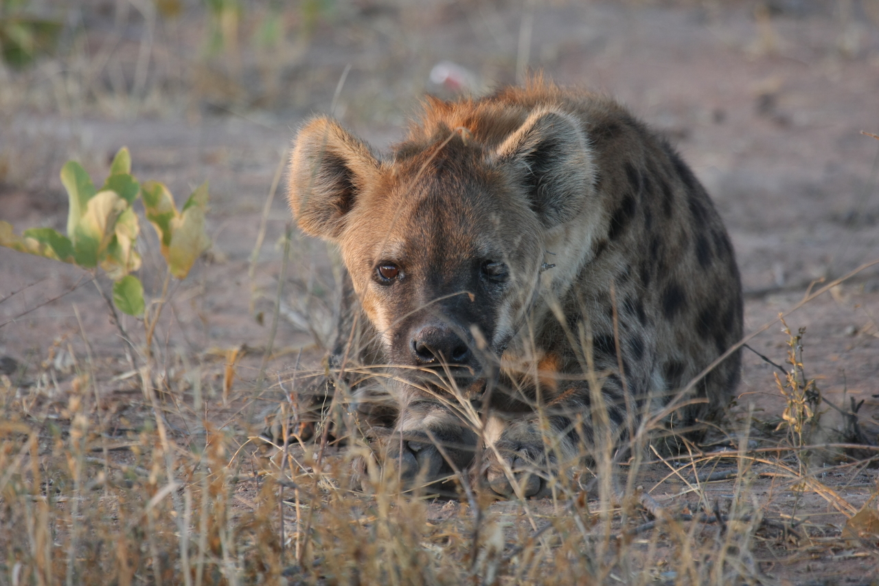 [3410] 2016_06_22_12_08_14_Africa_Canon_EOS_40D_IMG__00788.jpg