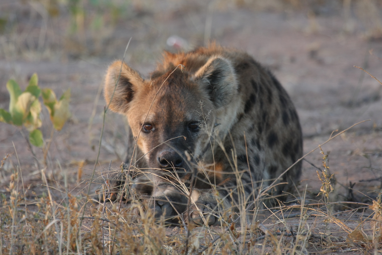 [3416] 2016_06_22_12_08_15_Africa_Canon_EOS_40D_IMG__00790.jpg