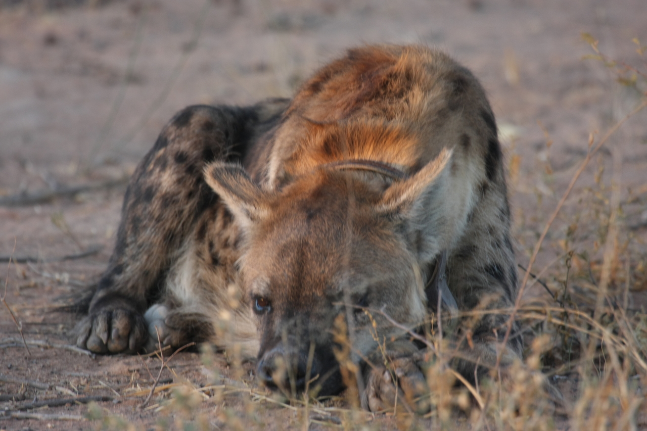 [3424] 2016_06_22_12_08_35_Africa_Canon_EOS_40D_IMG__00812.jpg