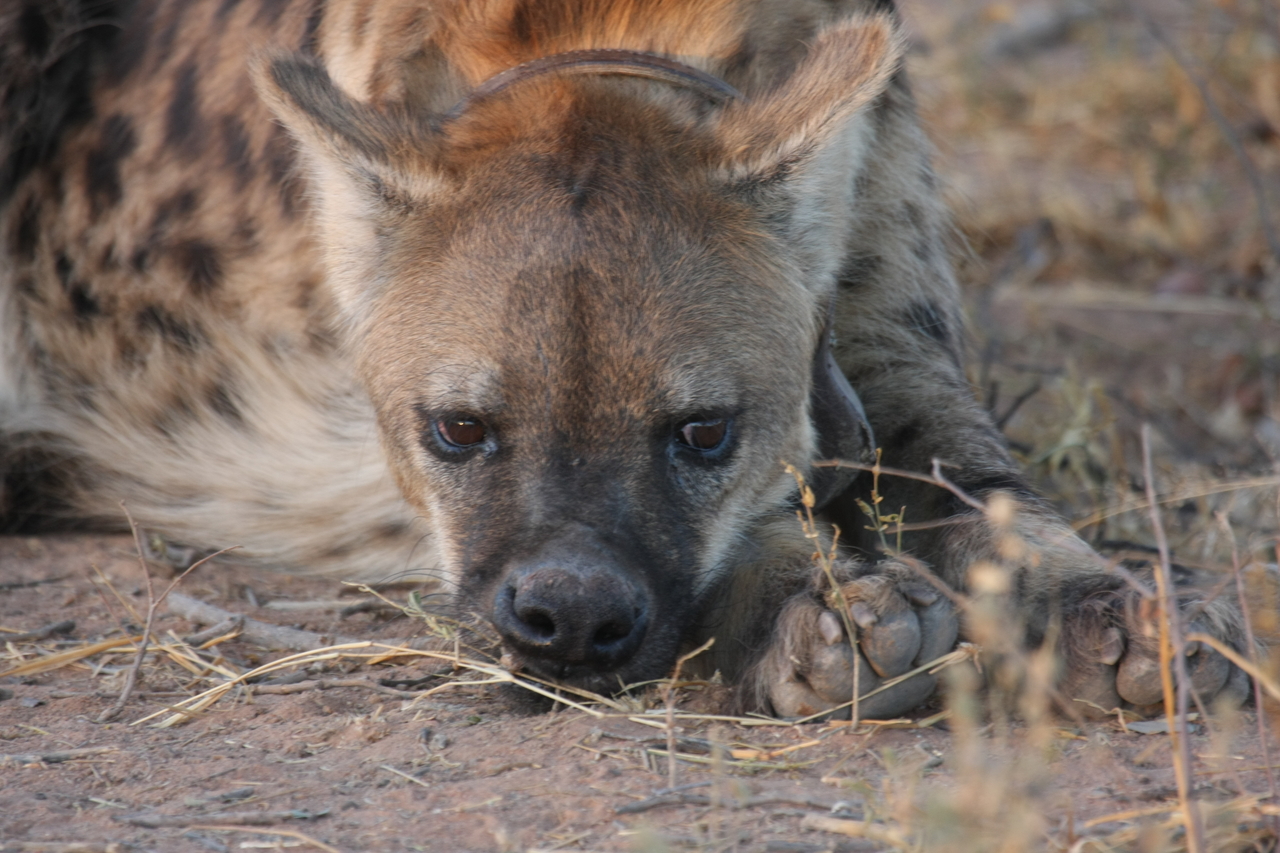 [3428] 2016_06_22_12_08_52_Africa_Canon_EOS_40D_IMG__00794.jpg