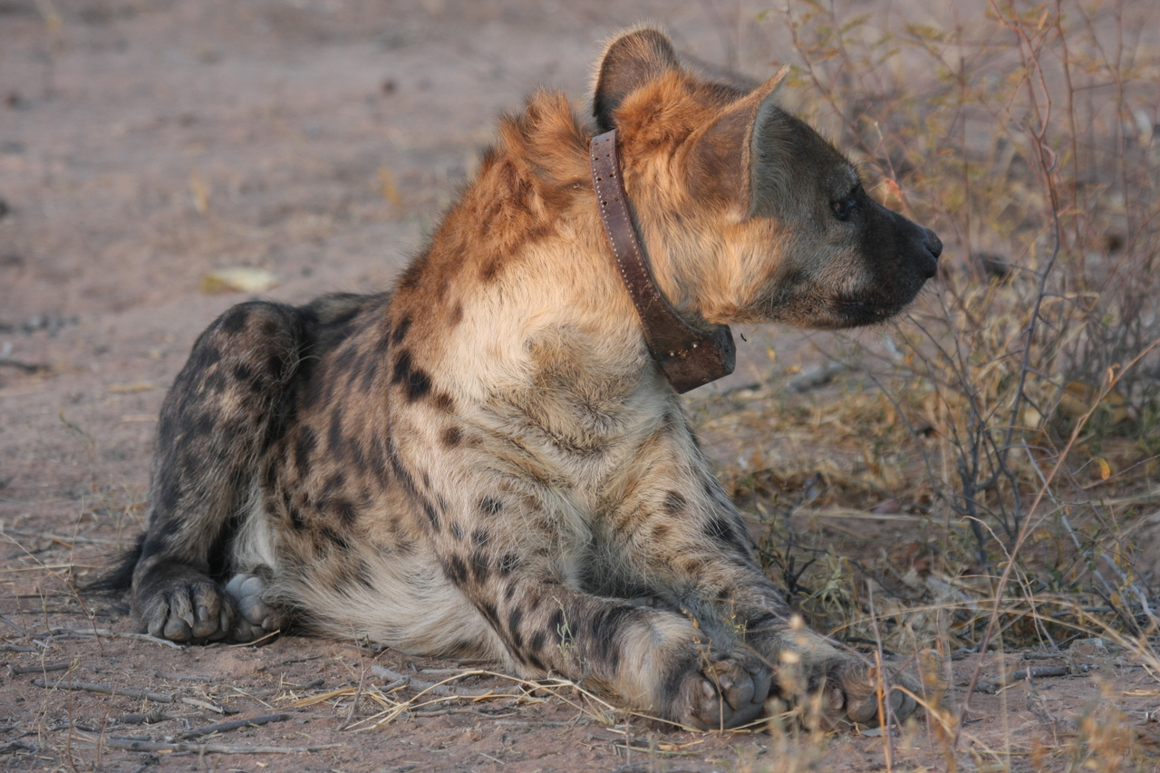 [3441] 2016_06_22_12_09_00_Africa_Canon_EOS_40D_IMG__00817.jpg