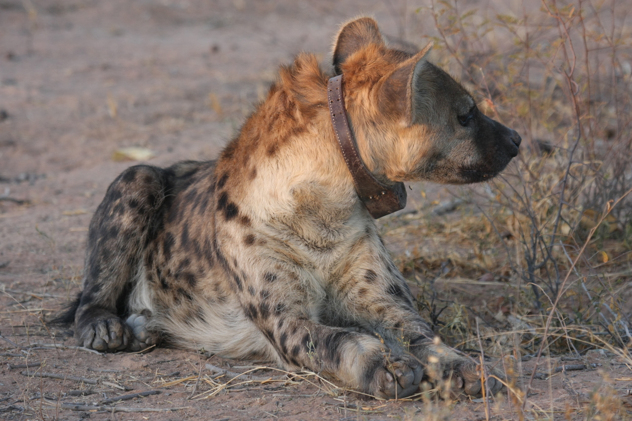 [3445] 2016_06_22_12_09_01_Africa_Canon_EOS_40D_IMG__08265.jpg