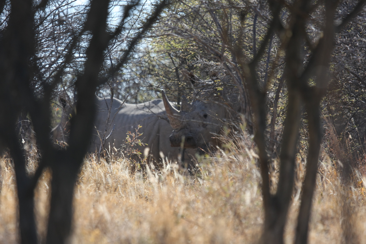 [4578] 2016_06_23_04_16_33_Africa_Canon_EOS_40D_IMG__08282.jpg