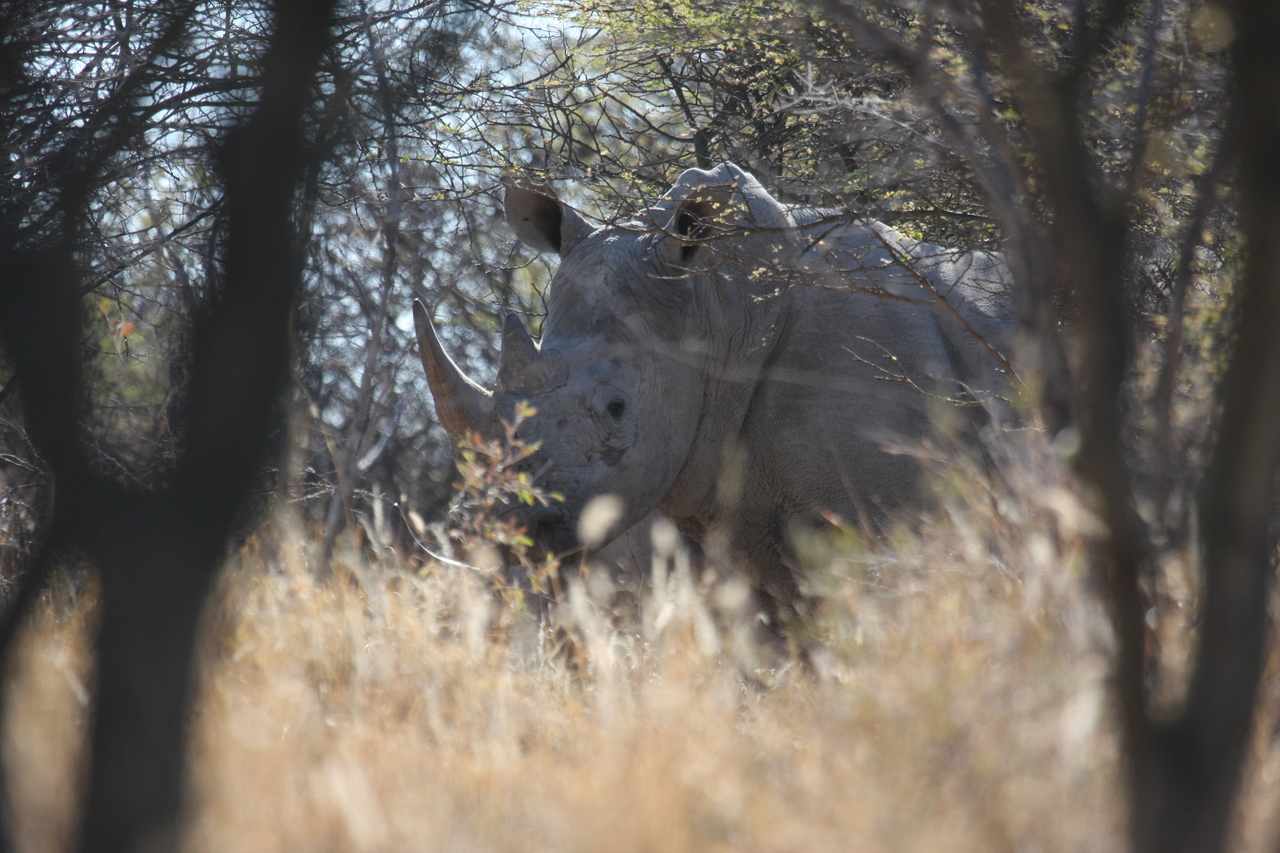 [4652] 2016_06_23_04_17_45_Africa_Canon_EOS_40D_IMG__08304.jpg