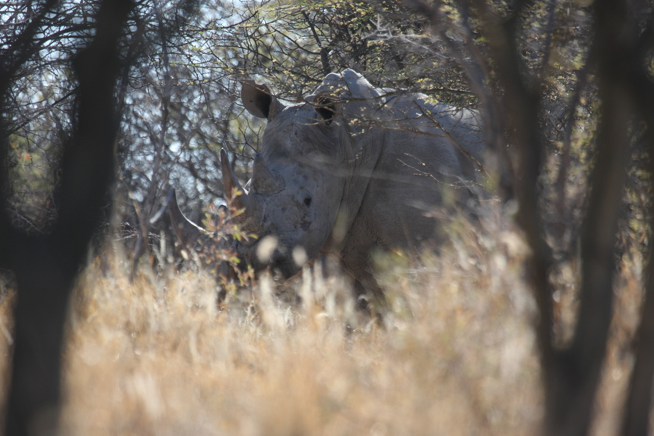 [4667] 2016_06_23_04_18_04_Africa_Canon_EOS_40D_IMG__00026.jpg