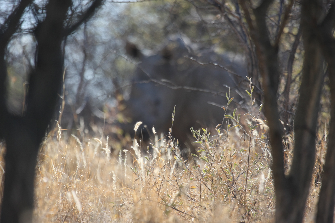 [4668] 2016_06_23_04_18_04_Africa_Canon_EOS_40D_IMG__00027.jpg