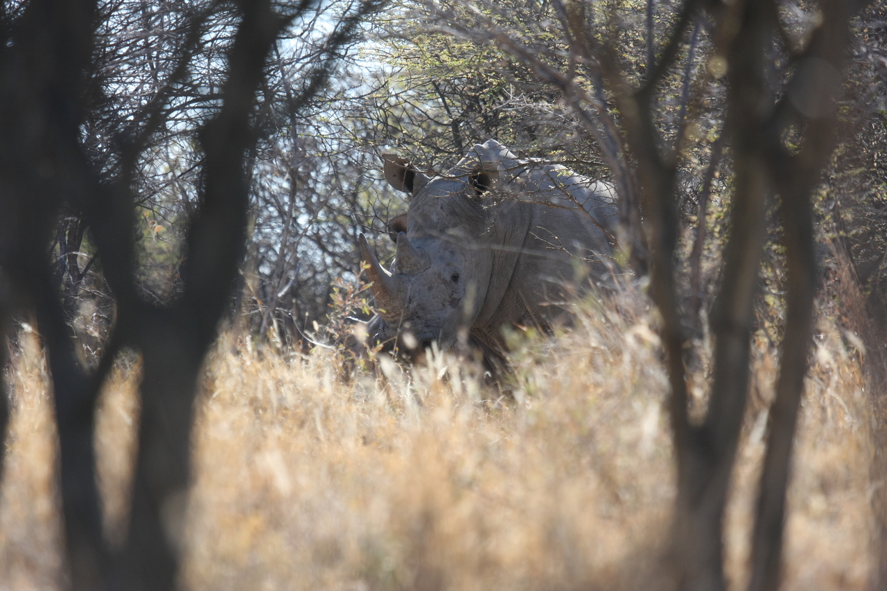 [4690] 2016_06_23_04_18_32_Africa_Canon_EOS_40D_IMG__00867.jpg