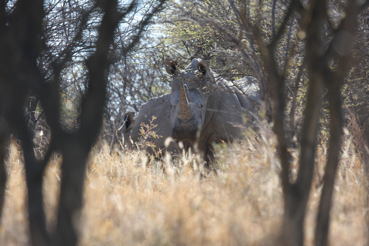 [4699] 2016_06_23_04_18_46_Africa_Canon_EOS_40D_IMG__00871.jpg