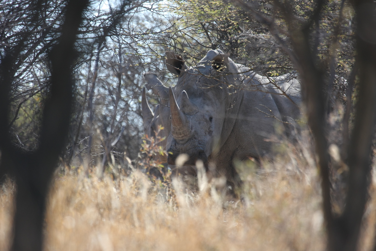 [4711] 2016_06_23_04_18_55_Africa_Canon_EOS_40D_IMG__00874.jpg