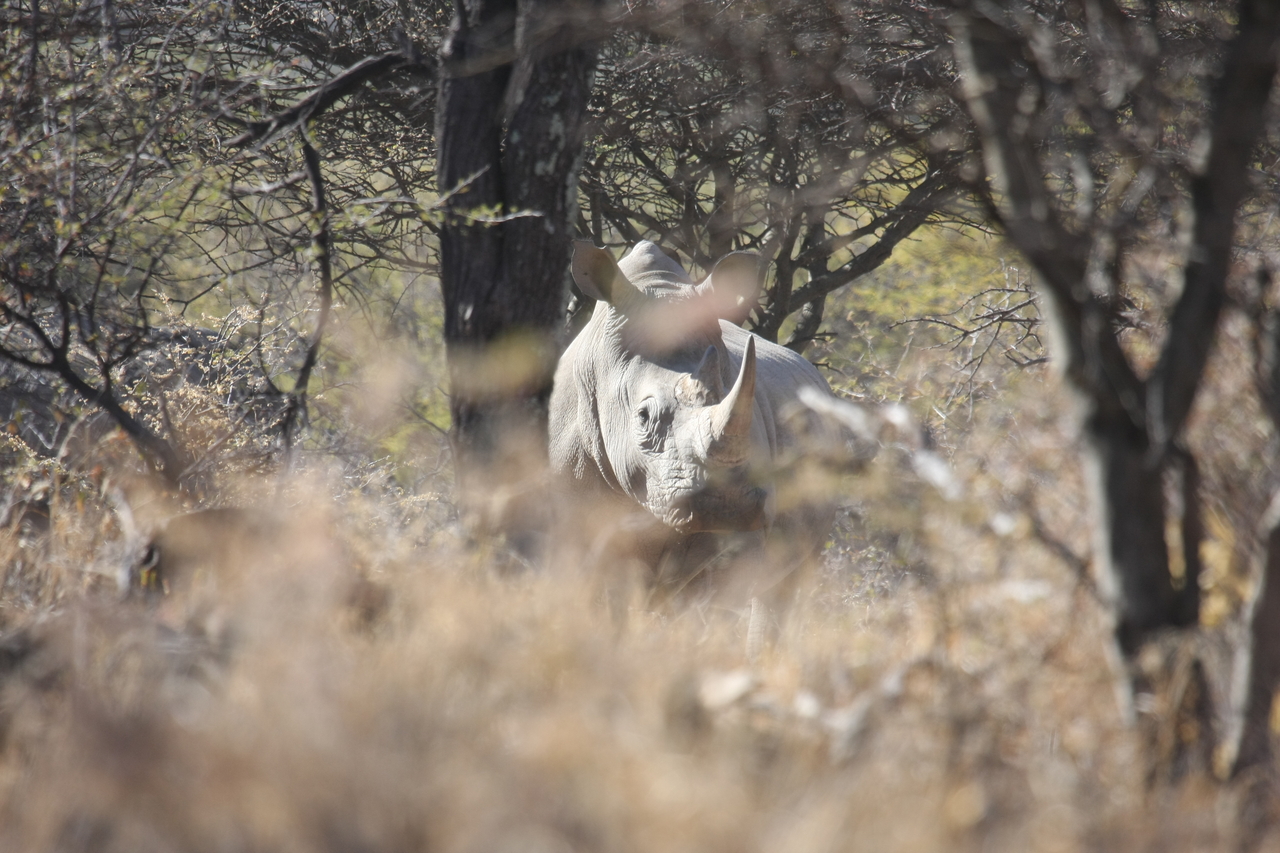 [4754] 2016_06_23_04_23_46_Africa_Canon_EOS_40D_IMG__00882.jpg
