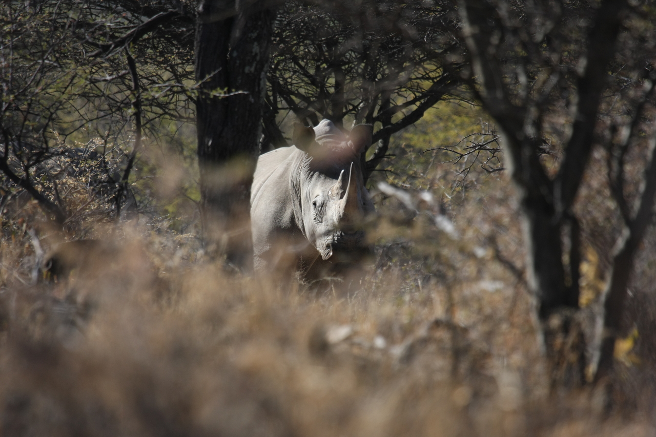 [4816] 2016_06_23_04_24_17_Africa_Canon_EOS_40D_IMG__00069.jpg