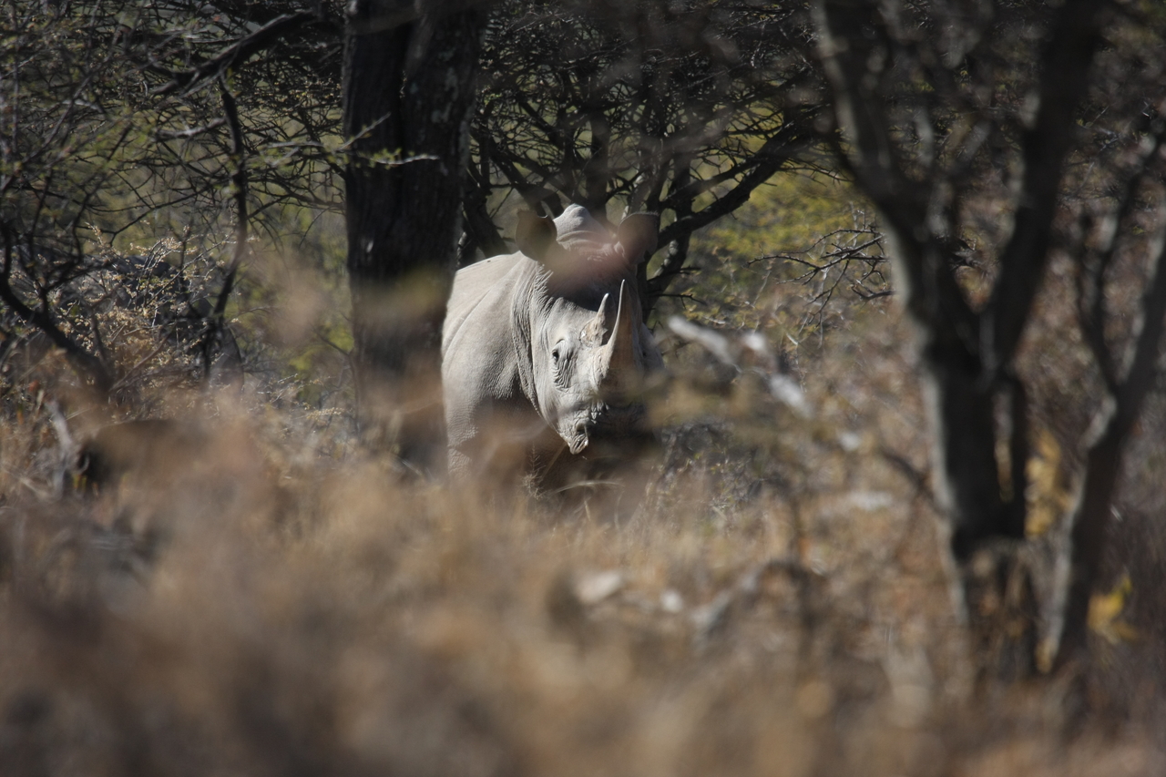 [4819] 2016_06_23_04_24_17_Africa_Canon_EOS_40D_IMG__00904.jpg