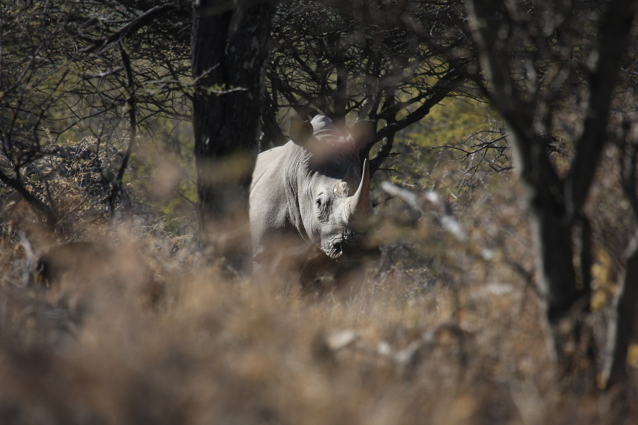 [4829] 2016_06_23_04_24_23_Africa_Canon_EOS_40D_IMG__08353.jpg