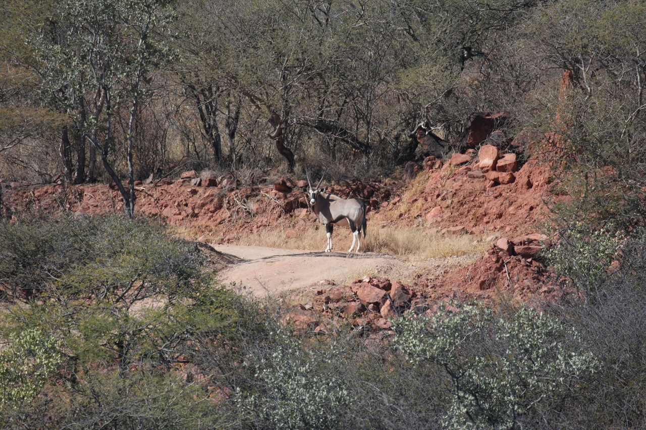 [5026] 2016_06_23_05_23_41_Africa_Canon_EOS_40D_IMG__00125.jpg