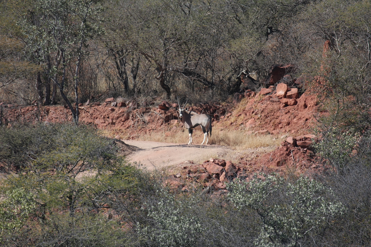 [5028] 2016_06_23_05_23_41_Africa_Canon_EOS_40D_IMG__00958.jpg