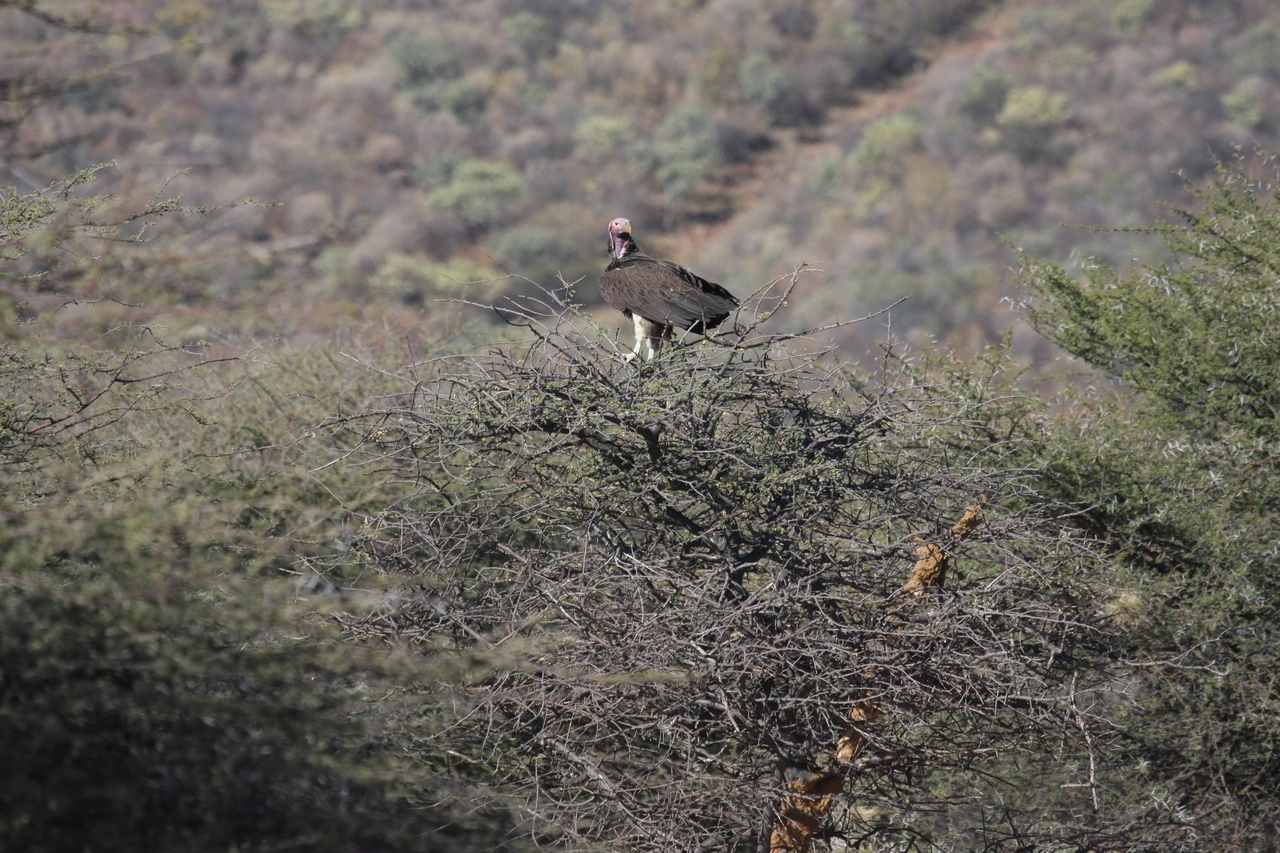 [5399] 2016_06_23_09_59_14_Africa_Canon_EOS_40D_IMG__00134.jpg