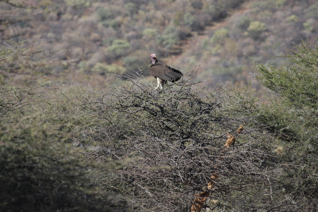 [5404] 2016_06_23_09_59_14_Africa_Canon_EOS_40D_IMG__08416.jpg