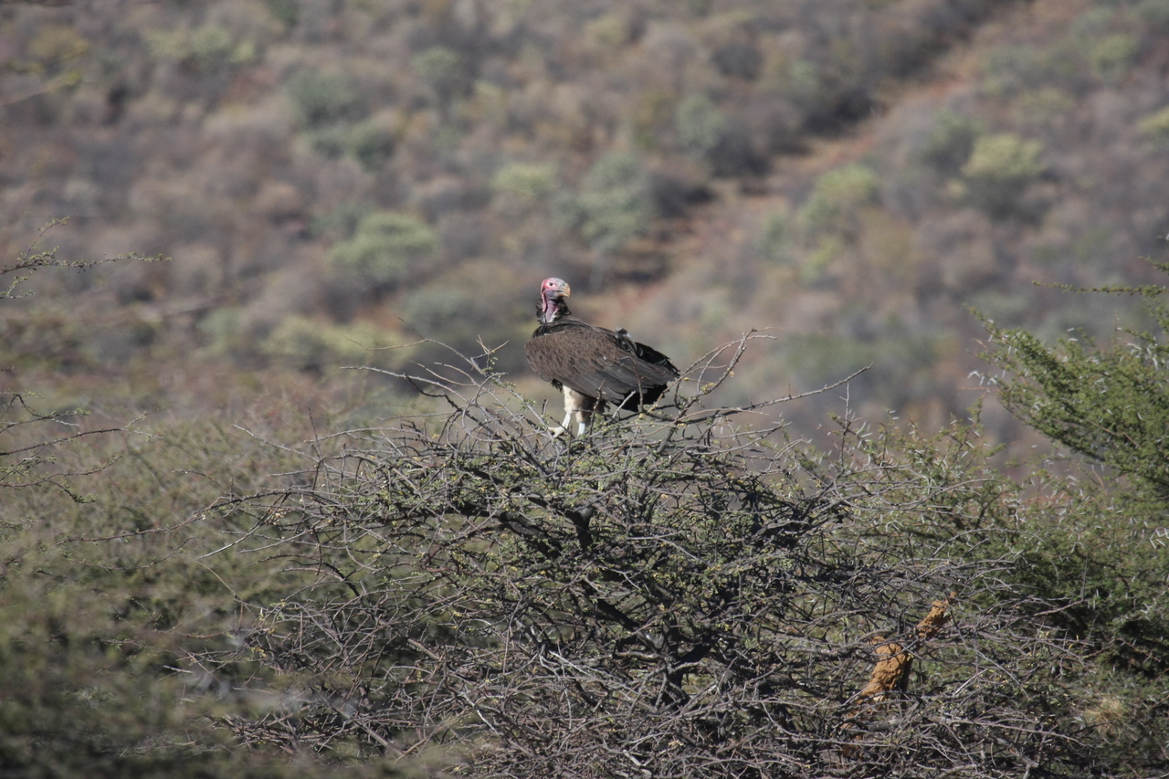 [5416] 2016_06_23_09_59_47_Africa_Canon_EOS_40D_IMG__08420.jpg