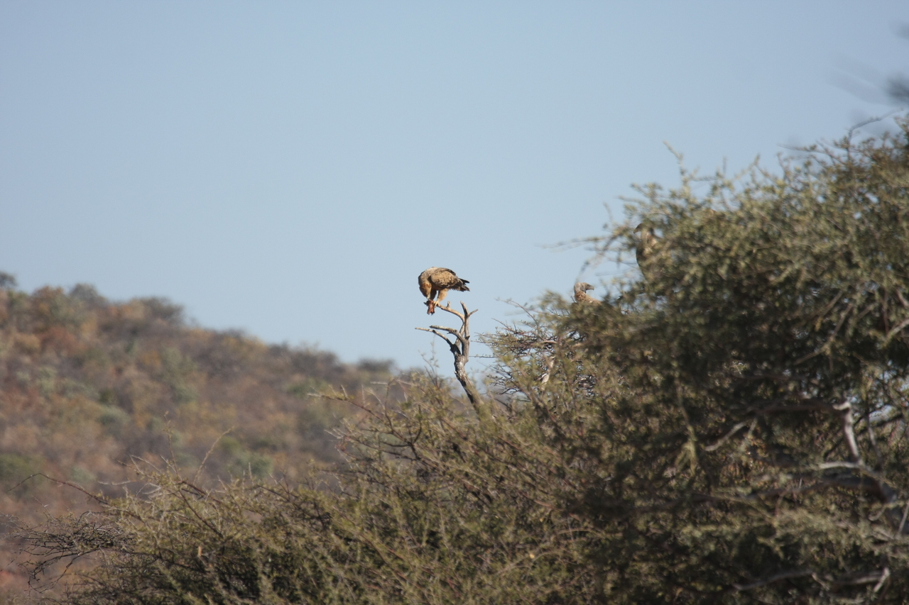 [5427] 2016_06_23_10_01_10_Africa_Canon_EOS_40D_IMG__00144.jpg