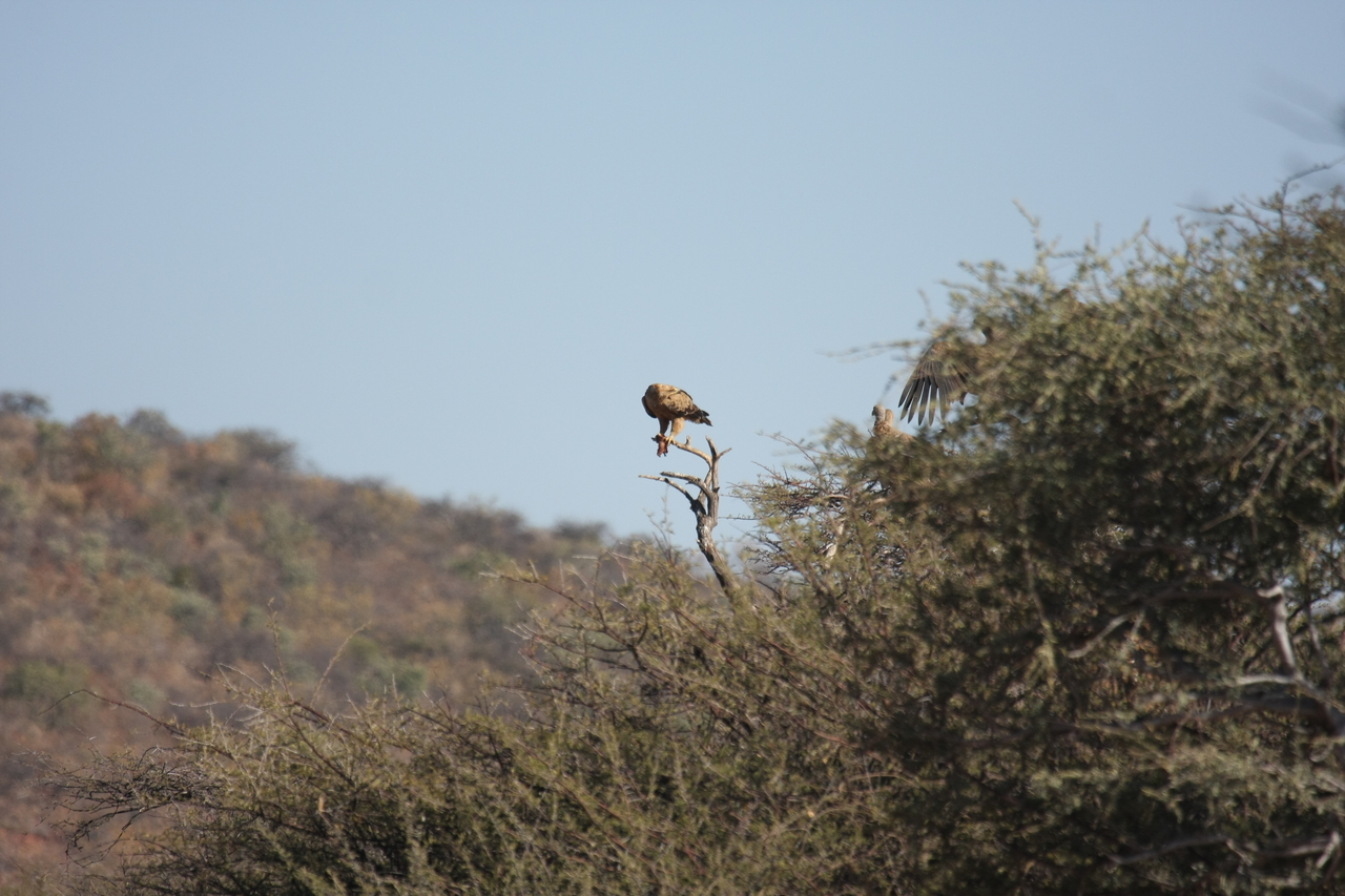 [5433] 2016_06_23_10_01_14_Africa_Canon_EOS_40D_IMG__00979.jpg