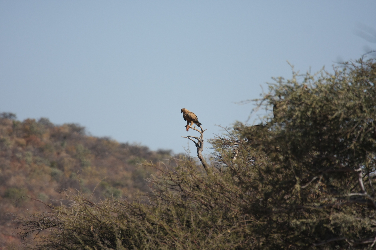 [5436] 2016_06_23_10_01_29_Africa_Canon_EOS_40D_IMG__00980.jpg