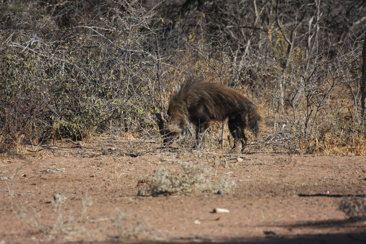 [5443] 2016_06_23_10_03_18_Africa_Canon_EOS_40D_IMG__00983.jpg