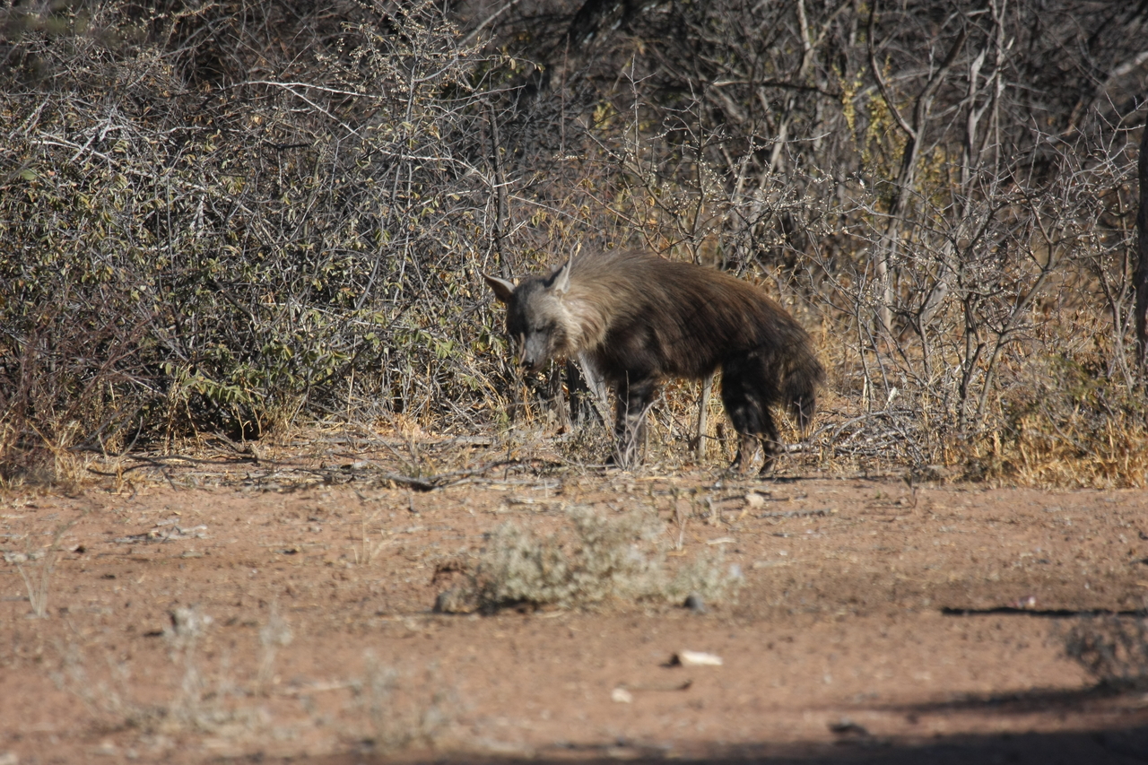 [5445] 2016_06_23_10_03_18_Africa_Canon_EOS_40D_IMG__08429.jpg