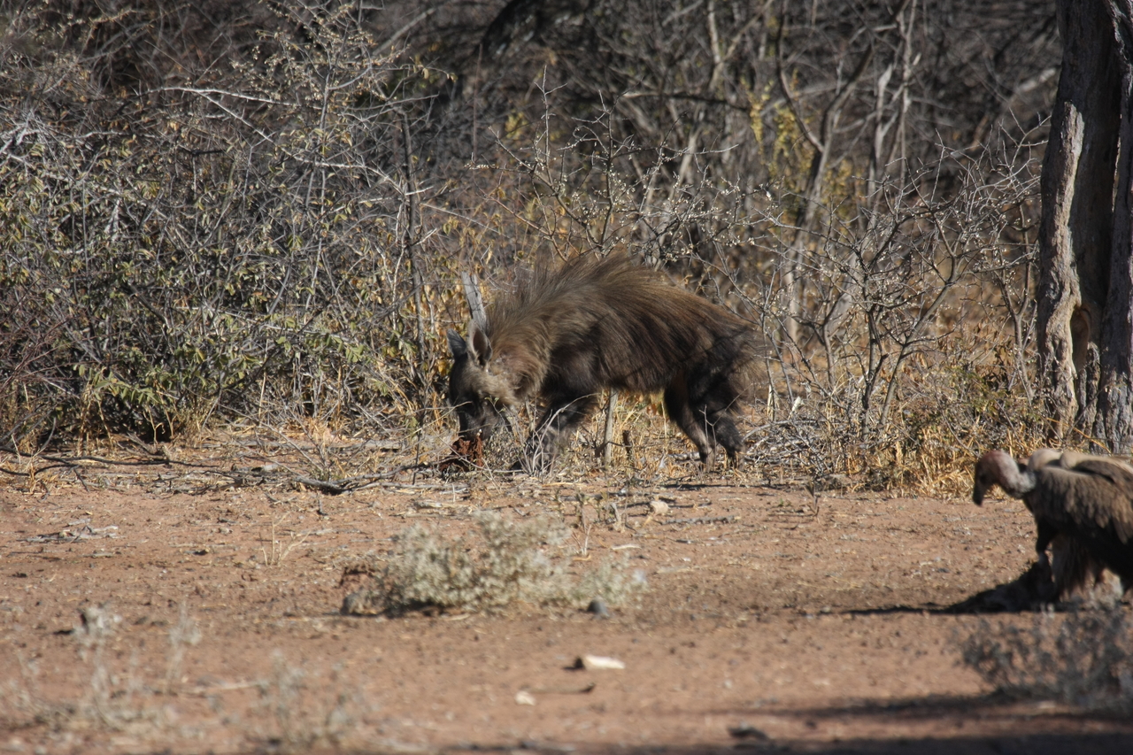 [5447] 2016_06_23_10_03_31_Africa_Canon_EOS_40D_IMG__00150.jpg