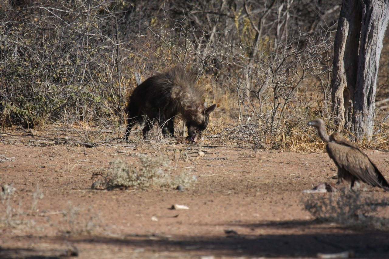 [5472] 2016_06_23_10_04_03_Africa_Canon_EOS_40D_IMG__08438.jpg