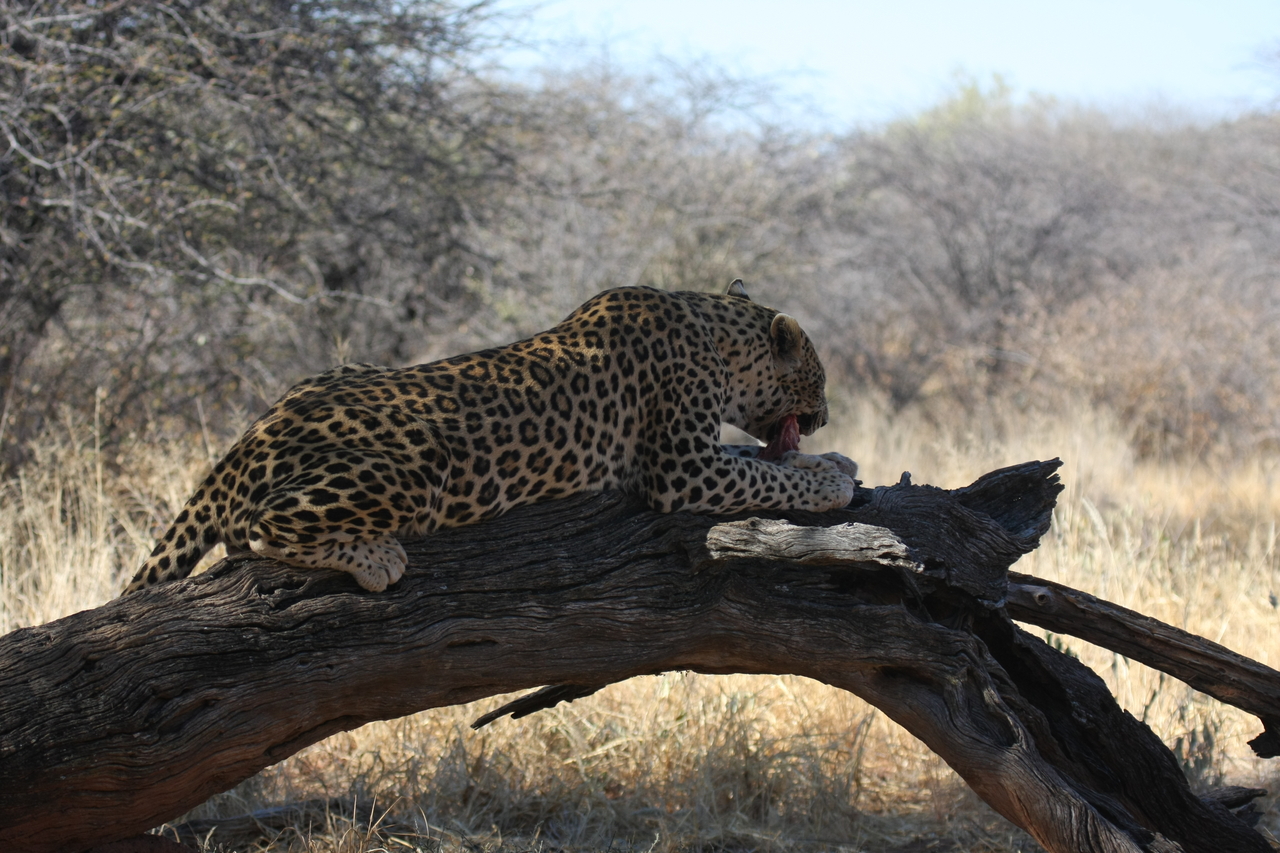 [5548] 2016_06_23_10_16_52_Africa_Canon_EOS_40D_IMG__01010.jpg