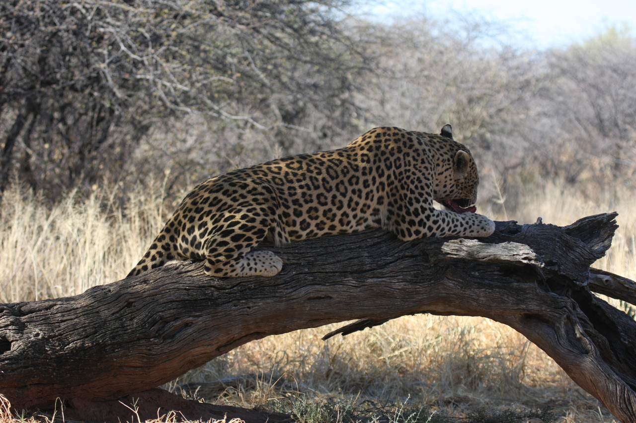 [5581] 2016_06_23_10_17_36_Africa_Canon_EOS_40D_IMG__08467.jpg