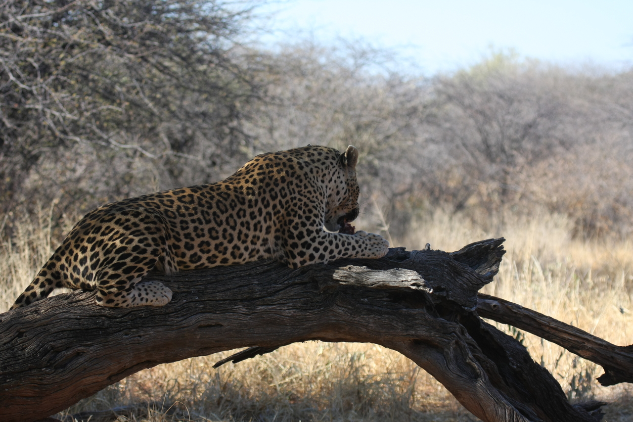 [5597] 2016_06_23_10_18_18_Africa_Canon_EOS_40D_IMG__01026.jpg