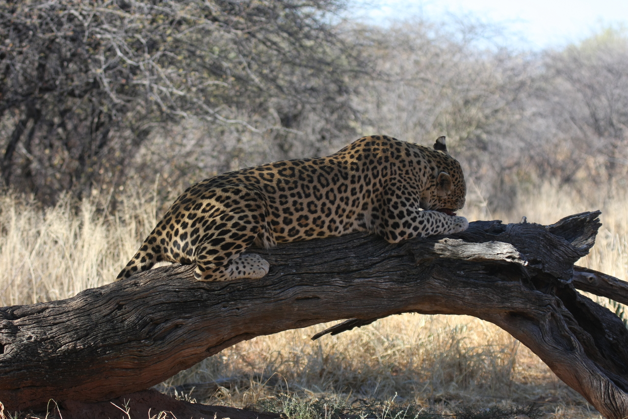 [5607] 2016_06_23_10_18_42_Africa_Canon_EOS_40D_IMG__00196.jpg